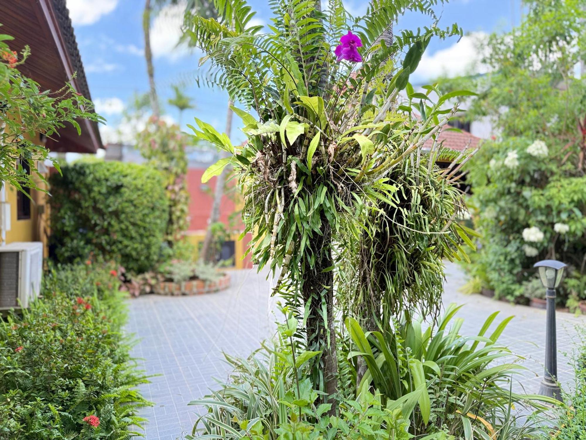 Family Bungalow Kamala Luaran gambar