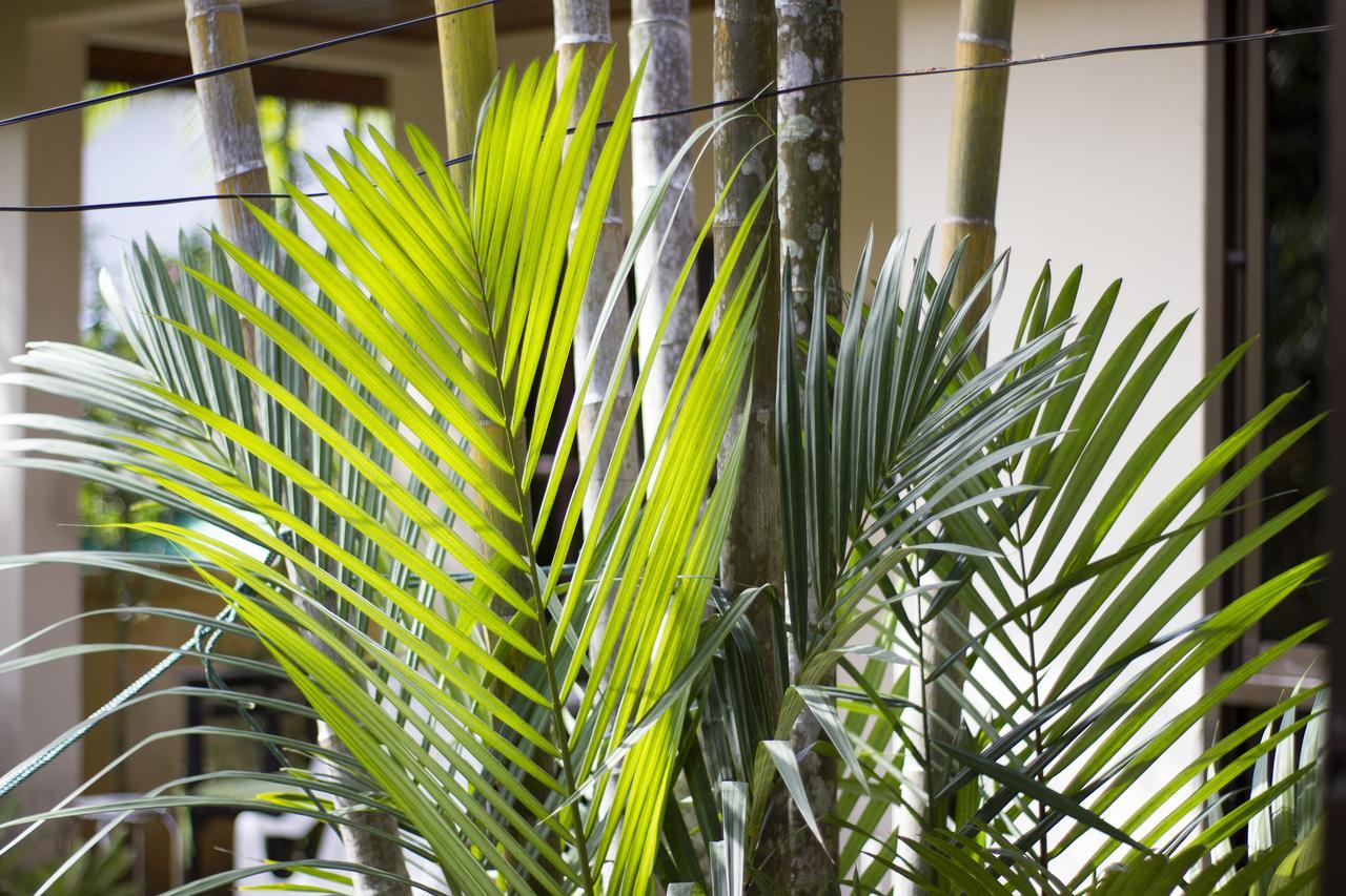 Family Bungalow Kamala Luaran gambar